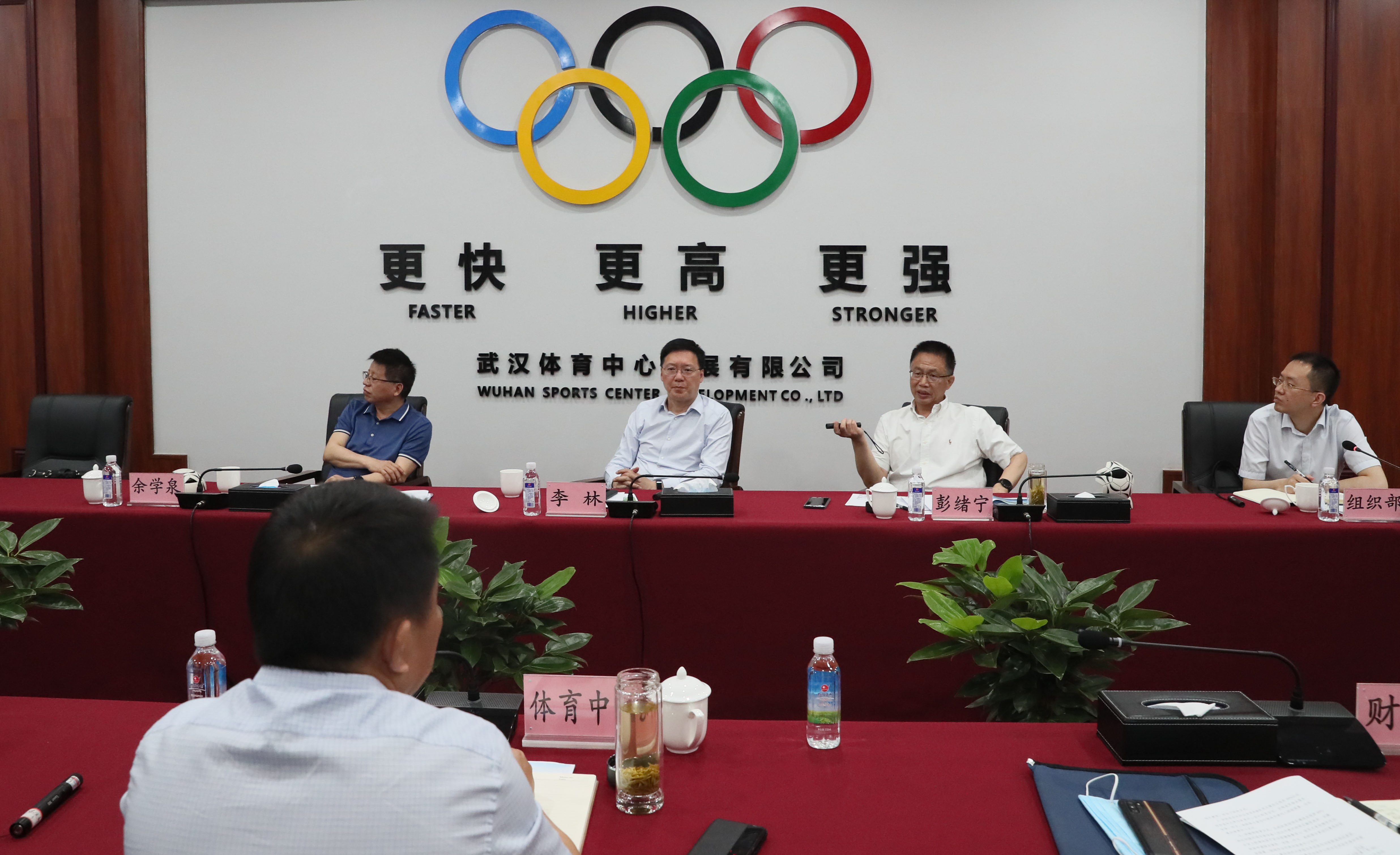 区人大、政协领导来公司调研文体产业发展规划