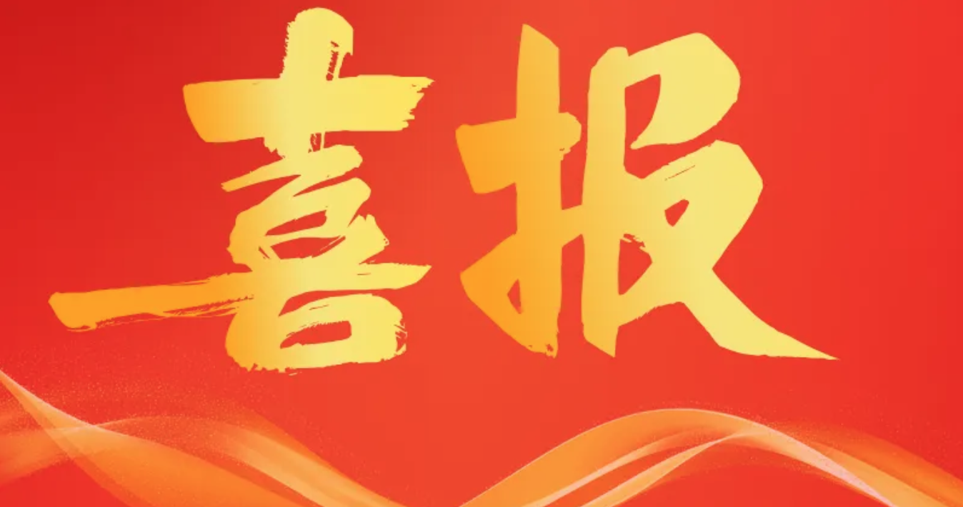 传承五四精神，书写青春风采｜公司团委及团员团干获多项荣誉