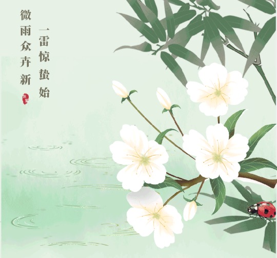 今日惊蛰｜春雷响 万物长