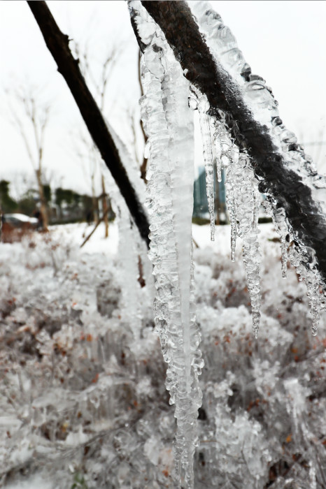 一场雪，体育中心美得不要不要的 但最美的风景还是他们(图4)