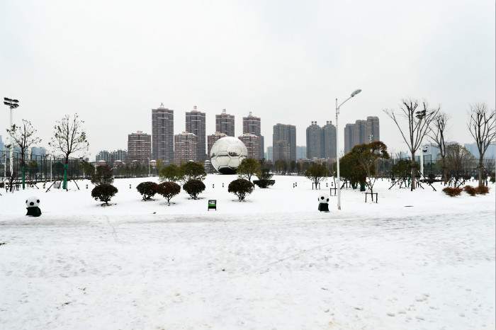 一场雪，体育中心美得不要不要的 但最美的风景还是他们(图2)