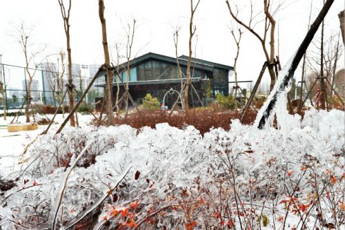 一场雪，体育中心美得不要不要的 但最美的风景还是他们(图3)