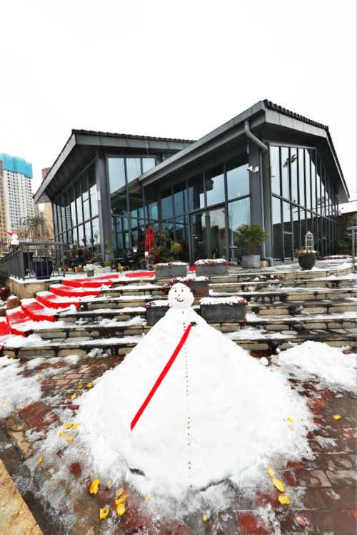 一场雪，体育中心美得不要不要的</br>但最美的风景还是他们(图11)