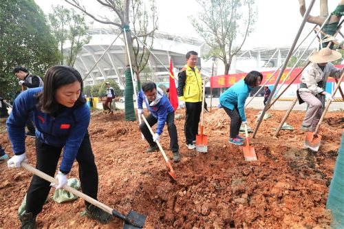 体育中心开展植树活动</br>建香樟大道为军运会建设添绿(图1)