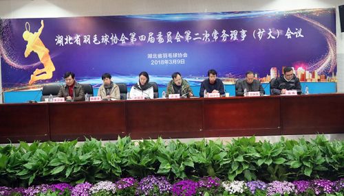 省羽协常务理事会议在武汉体育中心召开</br>赵芸蕾韩爱萍参加会议(图1)