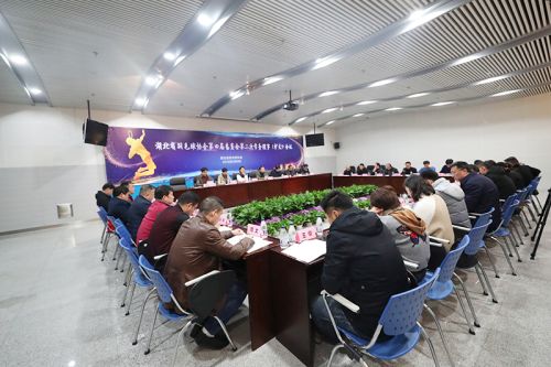 省羽协常务理事会议在武汉体育中心召开</br>赵芸蕾韩爱萍参加会议(图2)