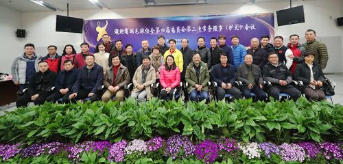 省羽协常务理事会议在武汉体育中心召开</br>赵芸蕾韩爱萍参加会议(图7)