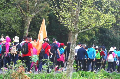 公司组织参加龙灵山国际徒步大会(图3)