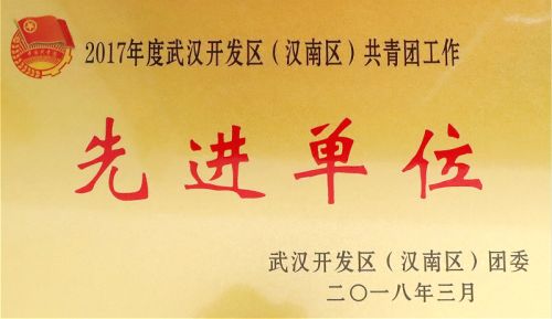 武汉体育中心团委荣获团区委表彰(图3)