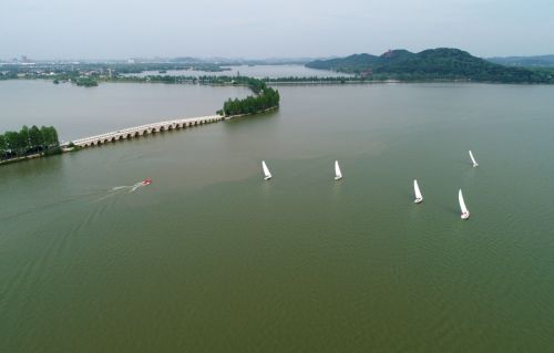 跳水世界杯圆满落幕  中国队包揽全部11金(图15)