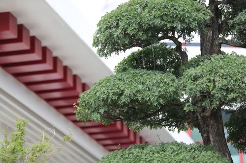 武汉体育中心的颜值(图6)