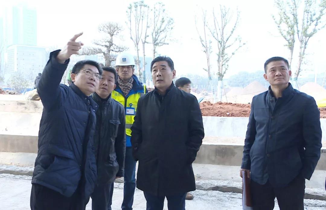 彭浩到武汉体育中心现场办公 检查推进军运会场馆建设和环境提升工作(图1)