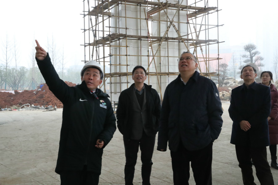 市老领导考察武汉体育中心(图4)