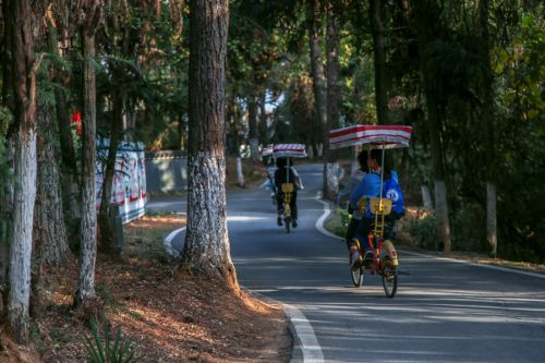 武汉体育中心组织开展秋季户外拓展活动(图6)