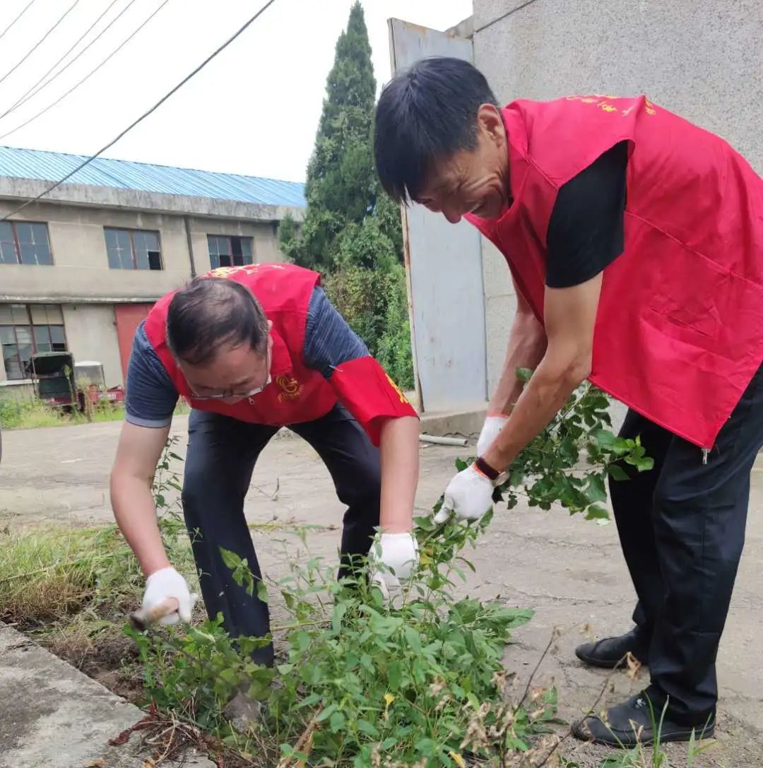 公司党员下沉社区开展志愿服务(图5)