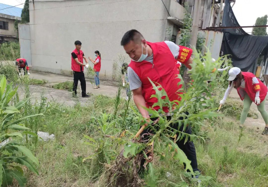 公司党员下沉社区开展志愿服务(图4)